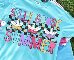 Silly Goose Summer