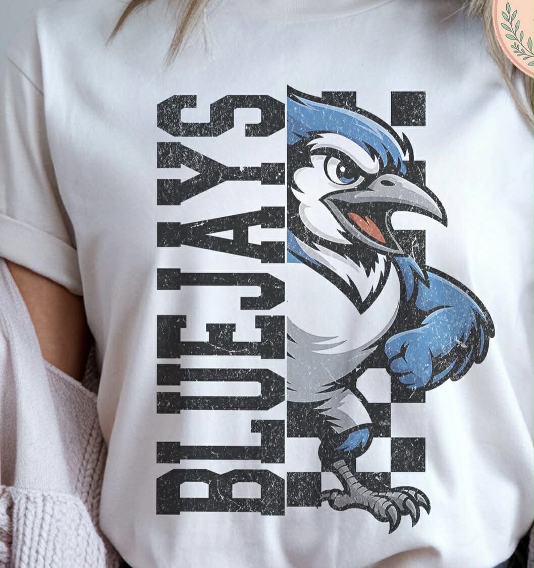 Blue Jays Checker