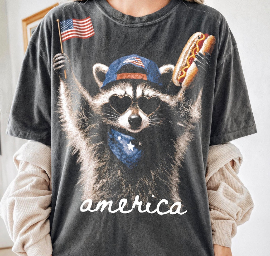 Raccoon America