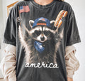 Raccoon America